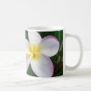 Recherche de fleurs jaunes tasses Plante