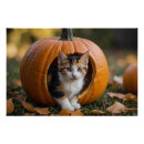 Recherche de bébé de halloween posters Pour enfants