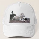 Recherche de loups casquettes Forêt