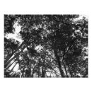 Recherche de voûte posters Noir et blanc