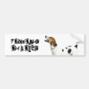 Recherche de fox voiture autocollants Animaux