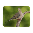 Recherche de tristesse magnets Nature