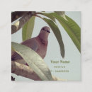 Recherche de pigeon cartes visite Pour tous