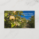 Recherche de élevage cartes visite Arbres