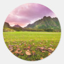 Recherche de beauté nature autocollants Dehors