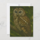Recherche de owl cartes postales Forêt