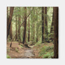 Recherche de piste magnets Californie