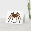 Zoek naar spiders kaarten Spin