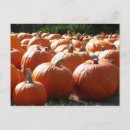 Recherche de cartes halloween Citrouille