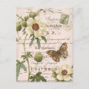 Zoek naar vintage botanisch briefkaarten Antiek