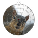 Recherche de photographe jeux de fléchettes Animal