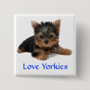 Recherche de yorkshire terrier accessoires Chiot