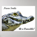 Zoek naar krokodil posters Dier