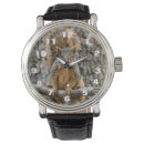 Recherche de écureuils montres Regarder