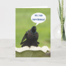 Zoek naar gelukkige vogel kaarten Humor
