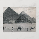 Recherche de le caire cartes postales Chameau