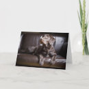 Recherche de chocolat labrador retriever vœux cartes Animal