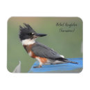 Recherche de noir observé magnets Nature