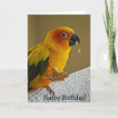 Recherche de conures vœux cartes Oiseaux