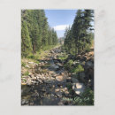 Recherche de cali cartes postales Ville