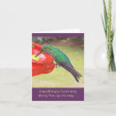 Zoek naar kolibrie fotografie Kolibries