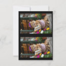 Recherche de librairie vœux cartes Chat