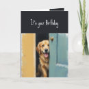 Recherche de cache cache vœux cartes Dog