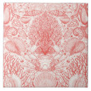 Recherche de coquillages carreaux Vie marine