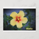 Recherche de état de hawaii cartes postales Fleur