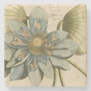 Recherche de fleur lotus dessous de verres Botanique