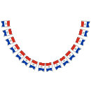 Recherche de le paraguay Patriotique