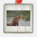 Recherche de renard ornements Animaux