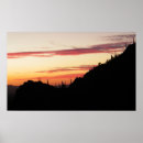 Recherche de saguaro posters Pittoresque