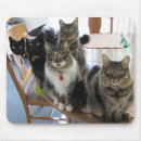 Recherche de cinq tapis souris Animaux