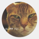 Recherche de chats grincheux autocollants En colère