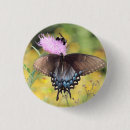Recherche de chardon badges Insecte