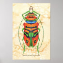 Zoek naar biologie posters Groen