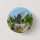 Recherche de iguane badges Nature