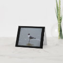 Zoek naar artistieke vogel kaarten Vogels
