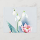 Recherche de hellebore posters Aquarelle