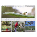 Recherche de motivation photographie Oiseaux