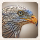 Recherche de cerf volant dessous de verres Oiseau