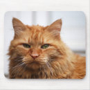 Recherche de minou tapis souris Fourrure
