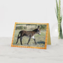 Zoek naar burro kaarten Leuk