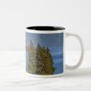 Recherche de flatterie tasses Île