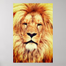 Recherche de visage lion posters Animal