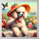 Recherche de caniche posters Chiot