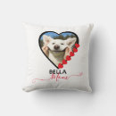 Recherche de chiens coussins Mère de chien