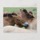 Recherche de libre photographie Photographie de la nature