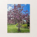 Zoek naar cherry blossom puzzels Floreel
